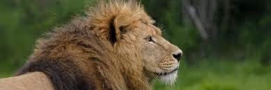 Time-traveling adventures