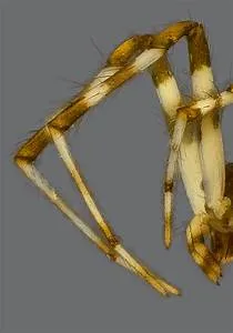 Yoga and meditation retreats