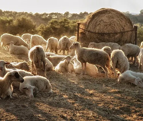Great wall expeditions