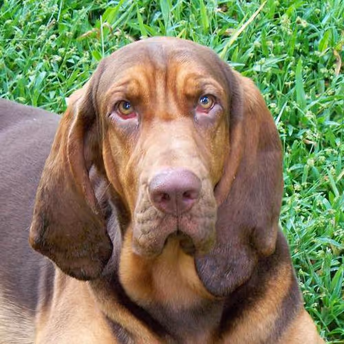 Photography masterclasses