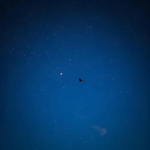 Nights Sky