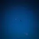 Nights Sky