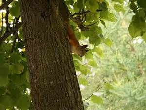 Innovations shaping tomorrow