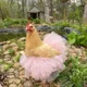 The Ballerina and the Backyard: A Study in Unexpected Dignity