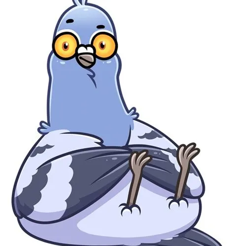 pigeon