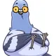 pigeon