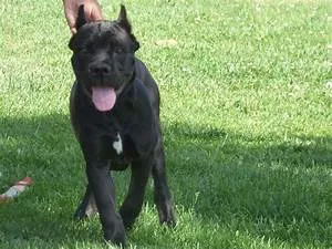 Pedaling scenic routes