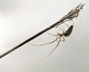 Subterranean adventures