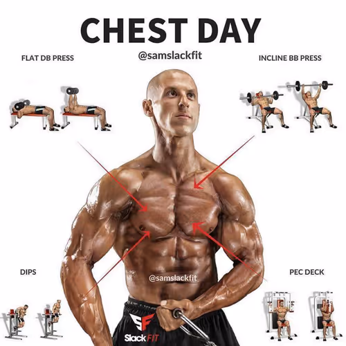 CHEST DAY