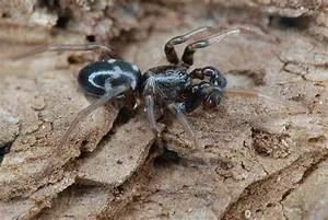 Mindfulness meditation practice