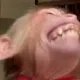 sdhsbdfb