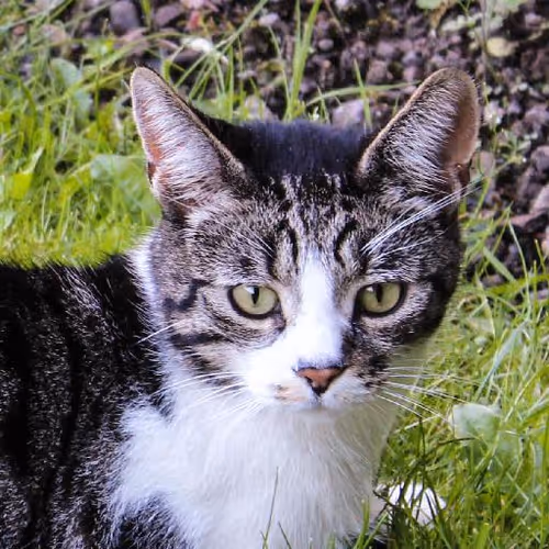 Cowboy life experiences