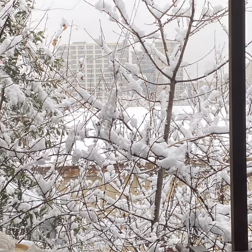 Somniacs Morning Routine