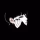 gfdvgd