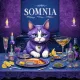 New Year Somnia