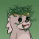 Medusa Somniac