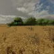 eaqdf