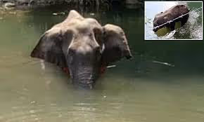 Cycling through landscapes