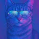 Cat2025