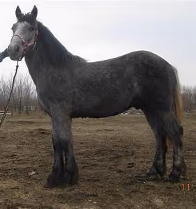 Stargazing adventures