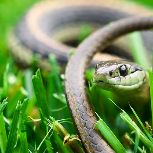 Writing retreat inspirations