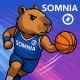 Somnia Slam Capy on the Court