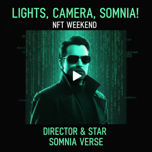 Lights Camera Somnia