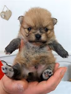 Social responsibility actions