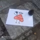 bonk