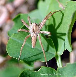 Collaborative synergy fostered