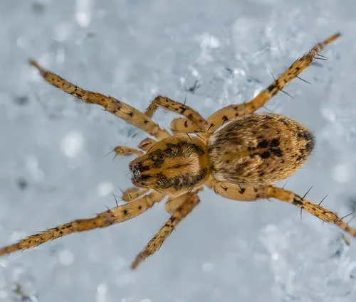 Innovations shaping tomorrow