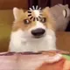 gr