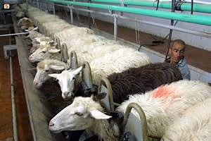 Great wall expeditions