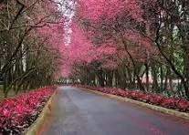 road