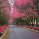 road