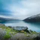MemeMogul