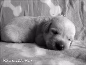 Volunteer travel experiences