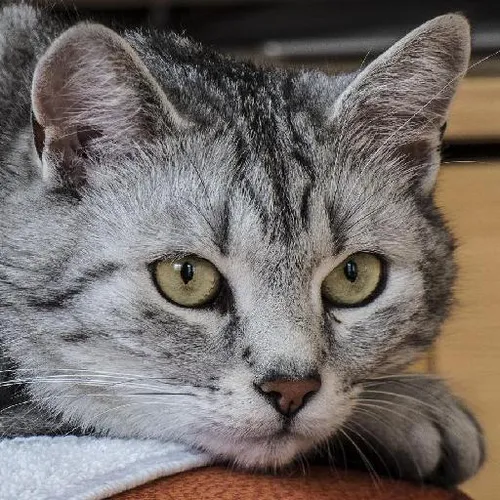 Future tech innovations