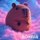 CapyBara Somnia NN34