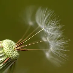 Startup success strategies