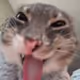 Somcat