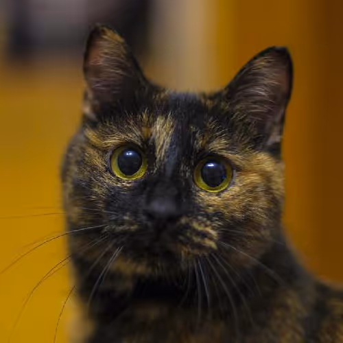 Empathy and resilience