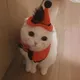 SFDF