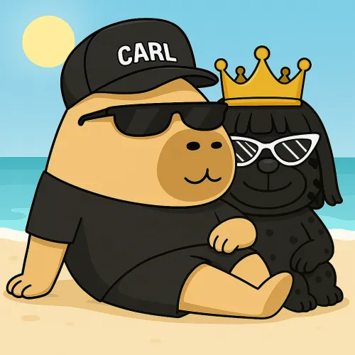 CARLES SOMI SAYA