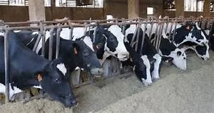 Sustainability awareness