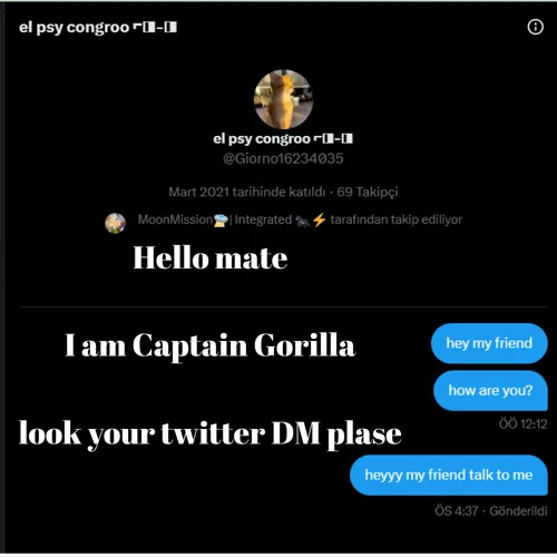 Look Your Twitter DM