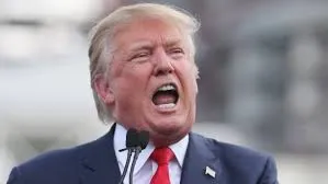 trump donald