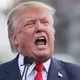 trump donald