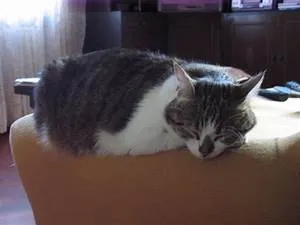 Subaquatic accommodations