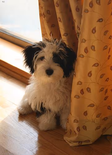 Volunteer travel experiences